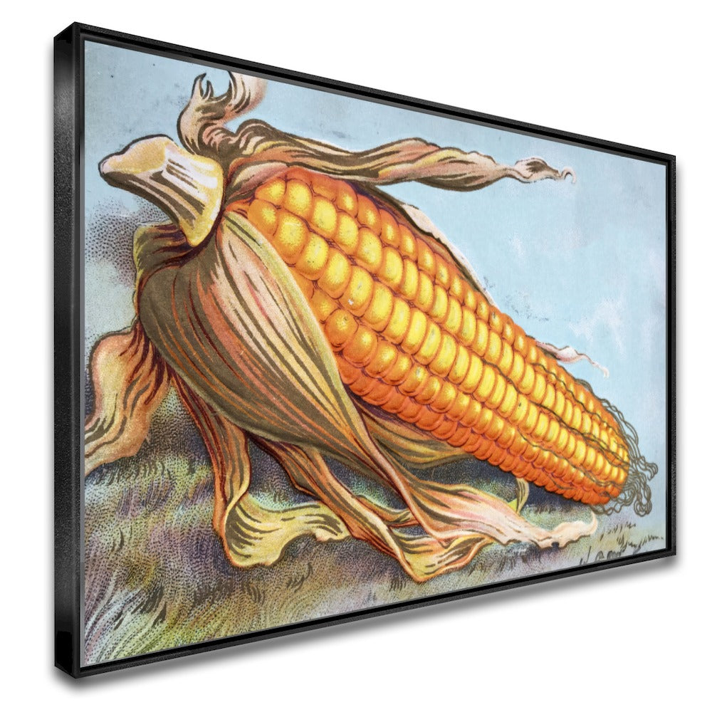Quadro Milhão Do Agro