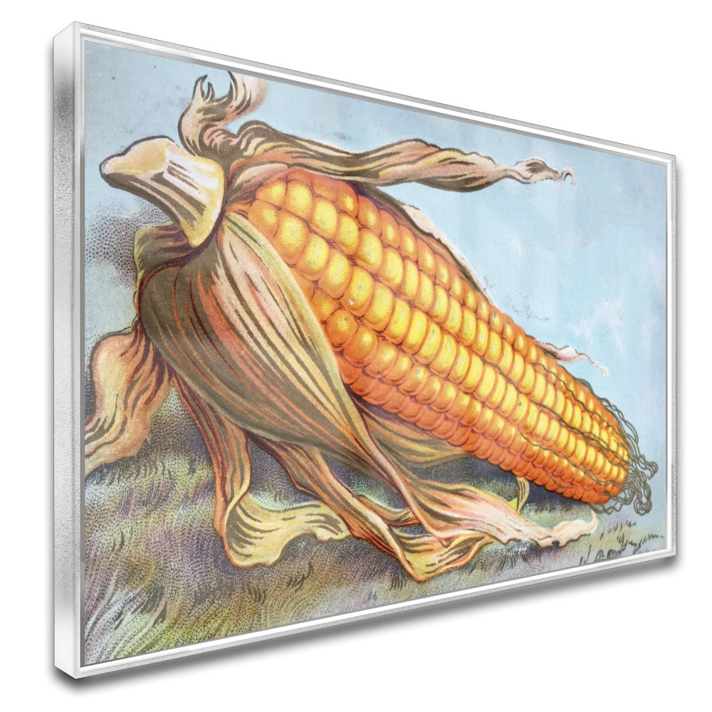 Quadro Milhão Do Agro