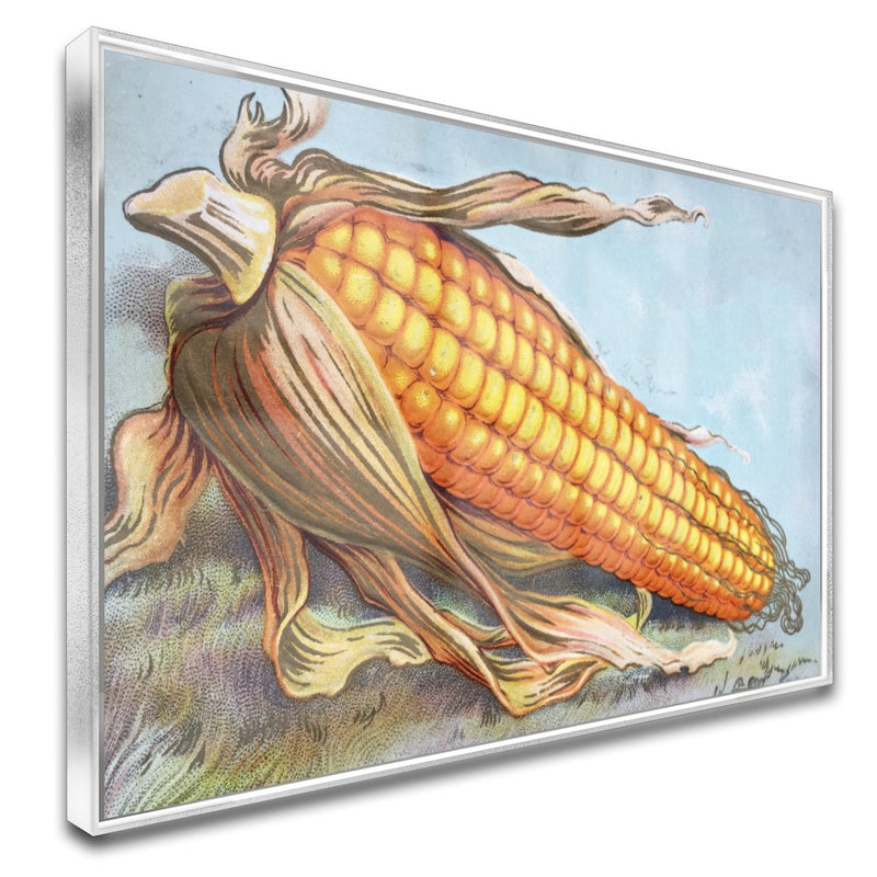 Quadro Milhão Do Agro