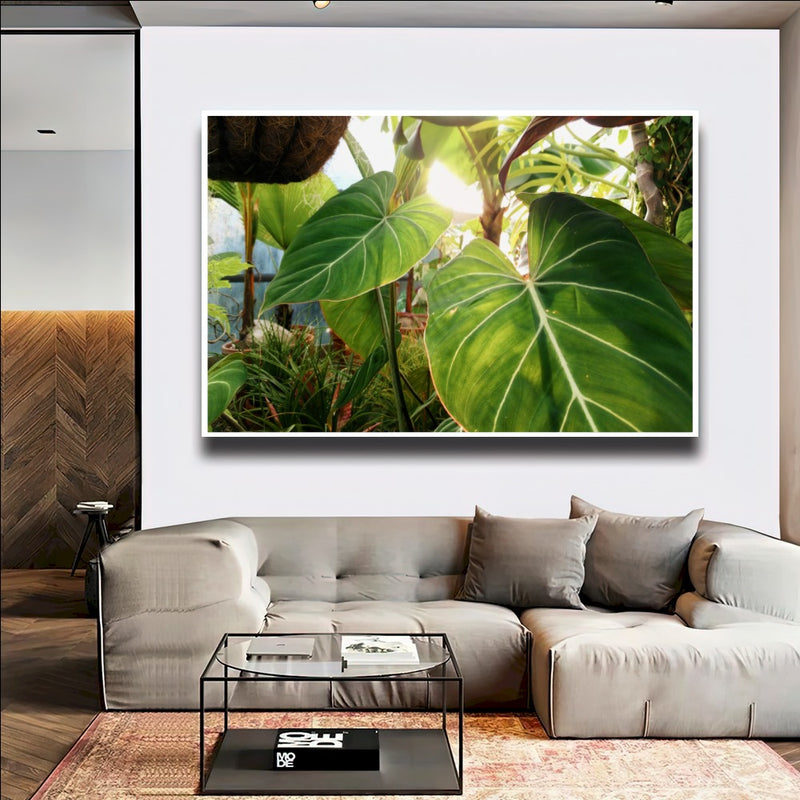 Quadro Planta Verde Singonio Decoração  Natural