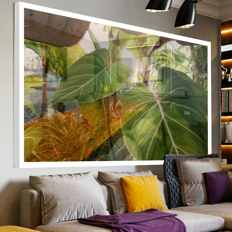 Quadro Planta Verde Singonio Decoração  Natural