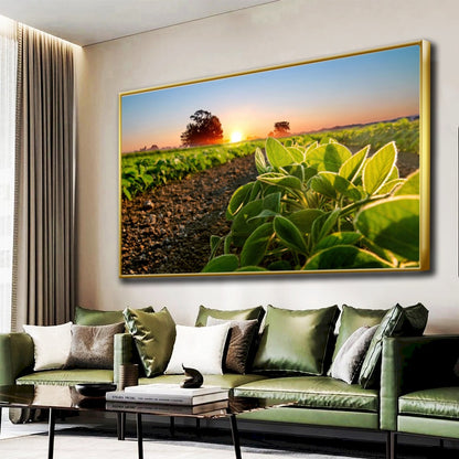 Quadro Soja Recém Nascido Sol Nascendo