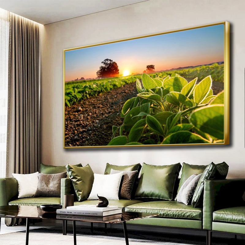 Quadro Soja Recém Nascido Sol Nascendo