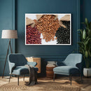 Quadro Variedas Do Feijão