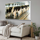Quadro Vacas Holandesas Na Ordenha