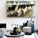 Quadro Vacas Holandesas Na Ordenha