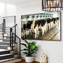 Quadro Vacas Holandesas Na Ordenha