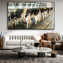 Quadro Vacas Holandesas Na Ordenha
