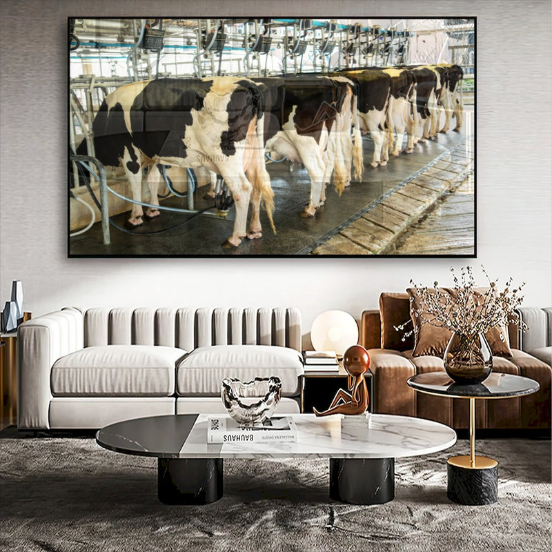 Quadro Vacas Holandesas Na Ordenha