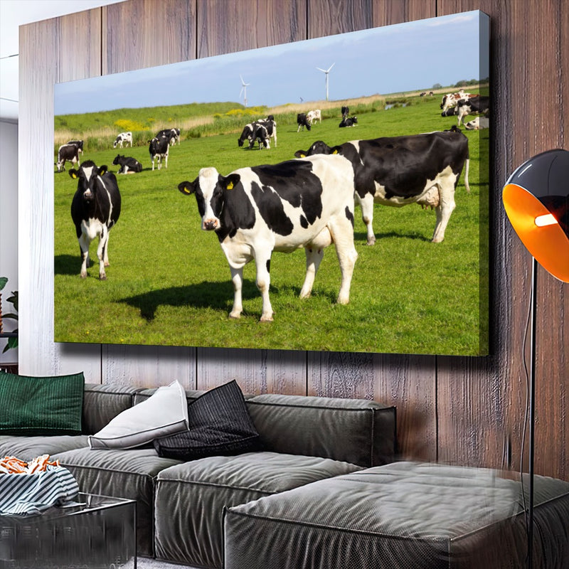 Quadro Vacas Holandesas Pastando No Campo