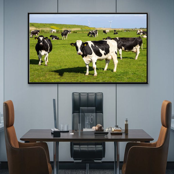 Quadro Vacas Holandesas Pastando No Campo