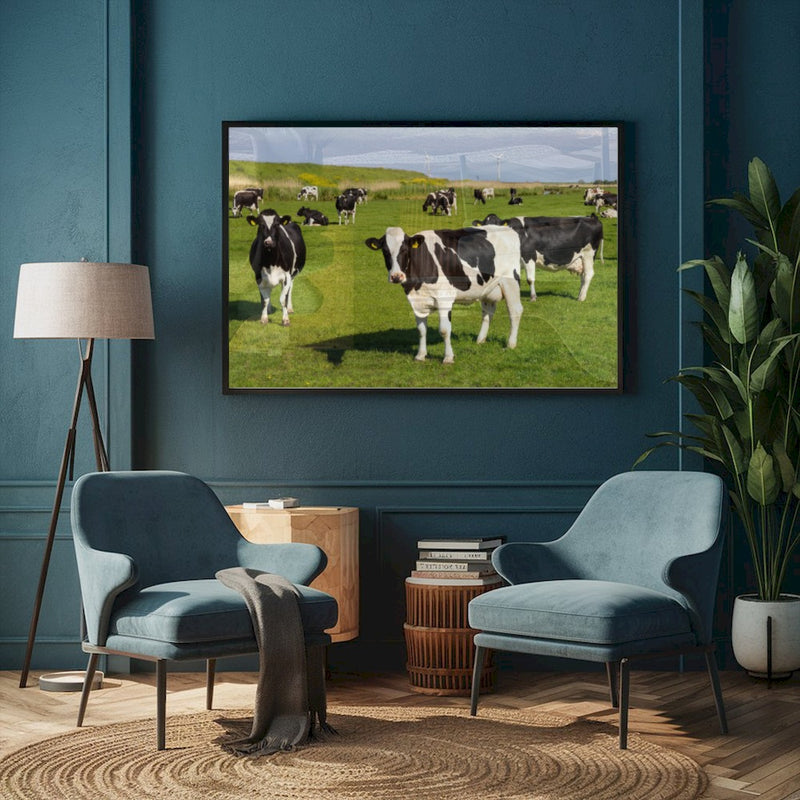 Quadro Vacas Holandesas Pastando No Campo