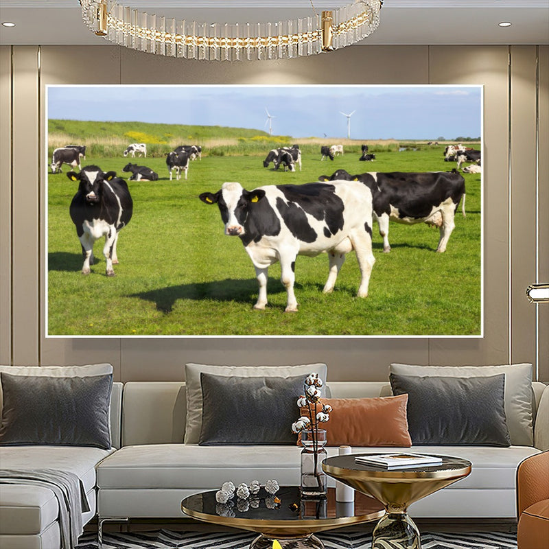 Quadro Vacas Holandesas Pastando No Campo