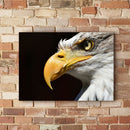 Quadro Visão De Águia