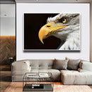 Quadro Visão De Águia