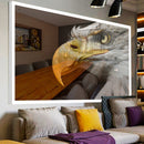 Quadro Visão De Águia