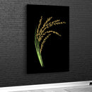 Quadro Cacho De Arroz Fundo Blackout
