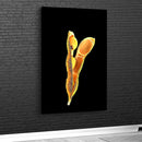 Quadro Vagem Da Soja Blackout