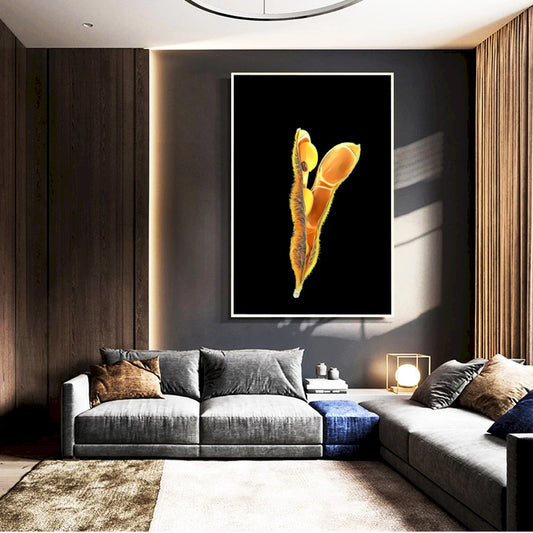 Quadro Vagem Da Soja Blackout