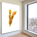 Quadro Vagem De Soja Fundo White