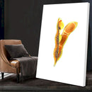 Quadro Vagem De Soja Fundo White