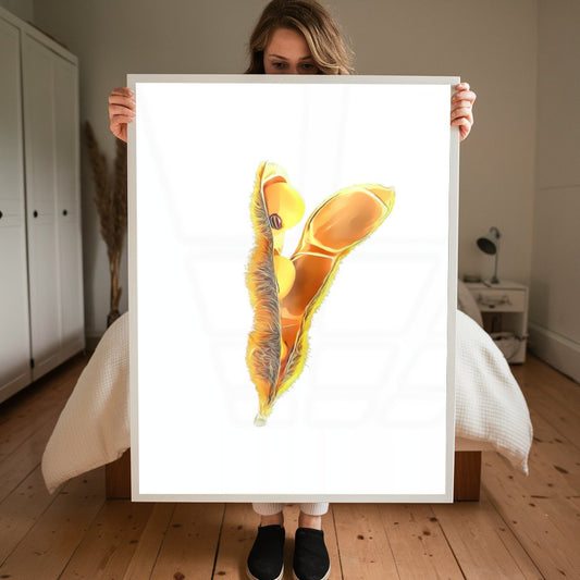 Quadro Vagem De Soja Fundo White