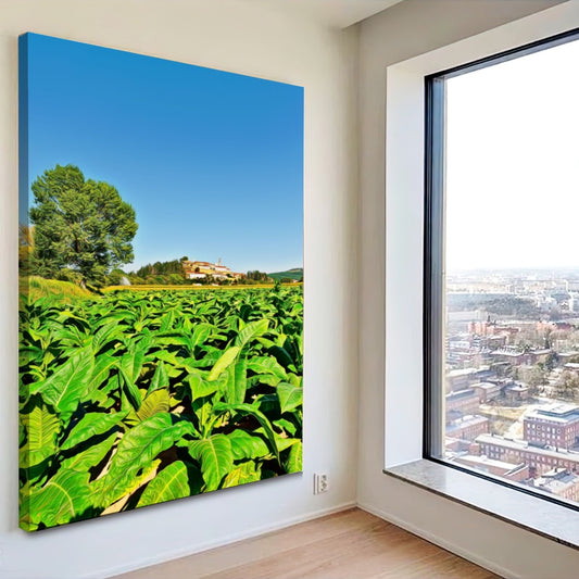 Quadro Plantação De Tabaco Fumo