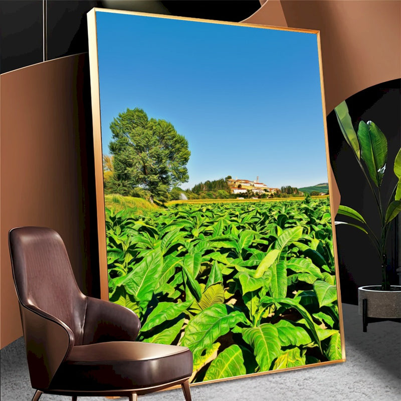 Quadro Plantação De Tabaco Fumo