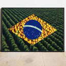 Quadro Bandeira Brasil Agro Do Café