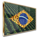 Quadro Bandeira Brasil Agro Do Café