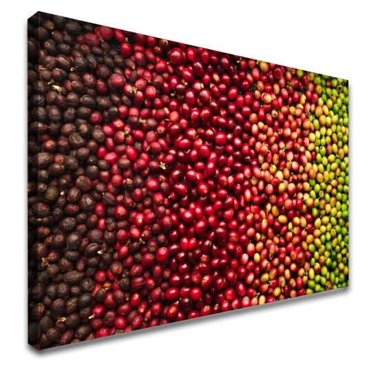 Quadro Variedades De Café