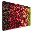 Quadro Variedades De Café