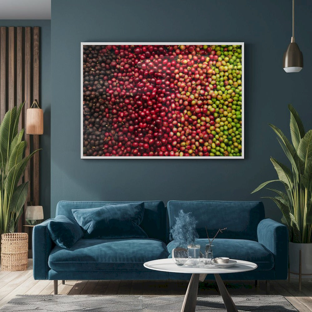 Quadro Variedades De Café
