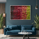 Quadro Variedades De Café