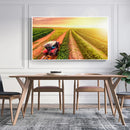 Quadro Trator No Cafezal