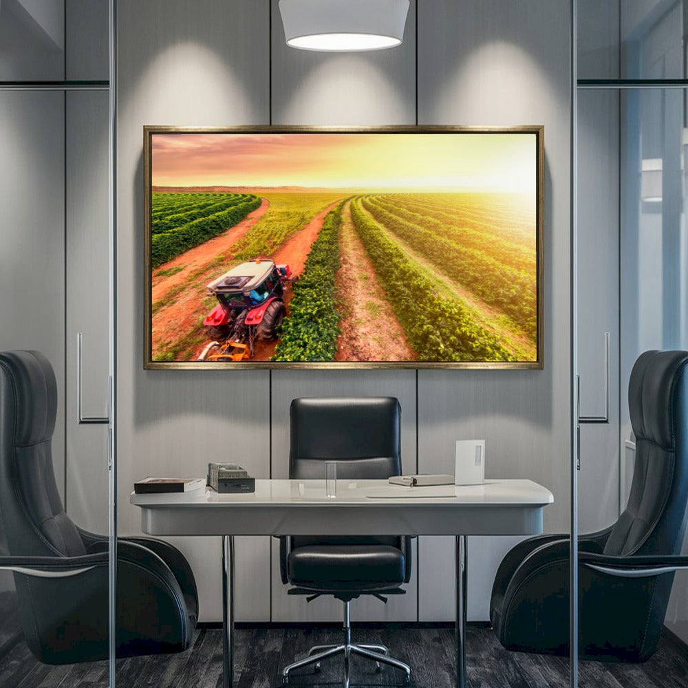 Quadro Trator No Cafezal