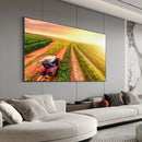 Quadro Trator No Cafezal