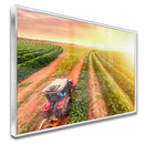 Quadro Trator No Cafezal