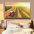 Quadro Trator No Cafezal