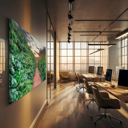 Quadro Plantação De Café