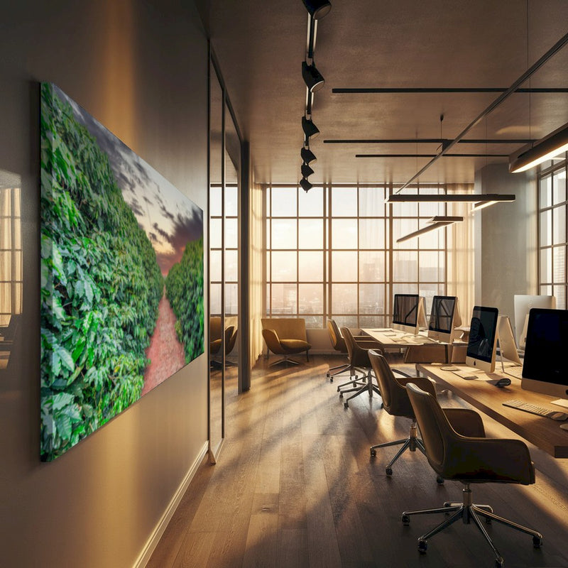 Quadro Plantação De Café