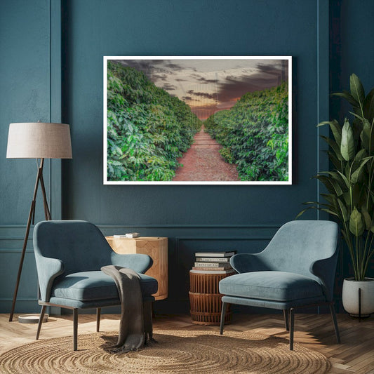 Quadro Plantação De Café