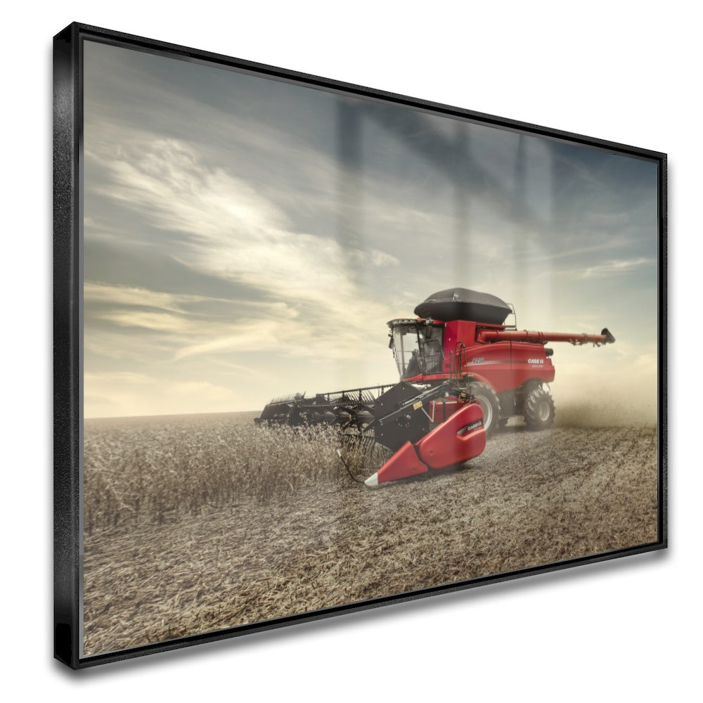 Quadro Colheita De Grãos