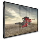 Quadro Colheita De Grãos