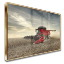 Quadro Colheita De Grãos