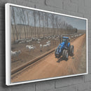 Quadro Olhando O Gado De Trator Na Fazenda