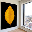 Quadro Folha De Tabaco Virginia Blackout
