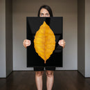 Quadro Folha De Tabaco Virginia Blackout