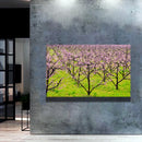 Quadro Plantação De Pessegos