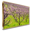 Quadro Plantação De Pessegos